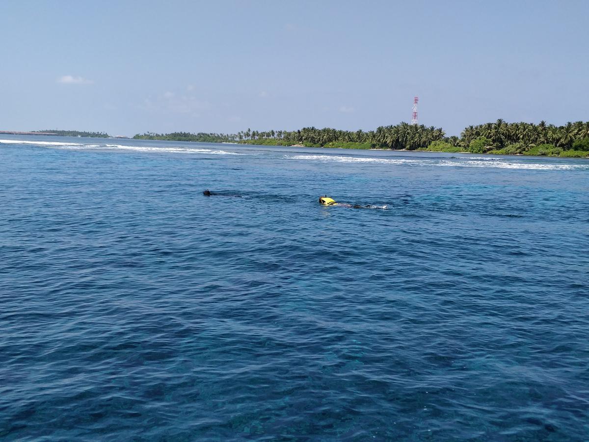Island Guest Hotel Maamendhoo Exterior photo
